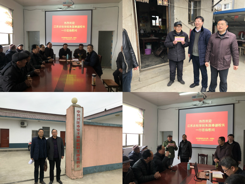安丰镇经济总量_经济图片(2)