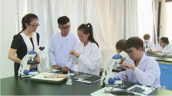 什么是高级技术人才 4753b007-6f2f-4aec-8af7-220efa796637.jpg